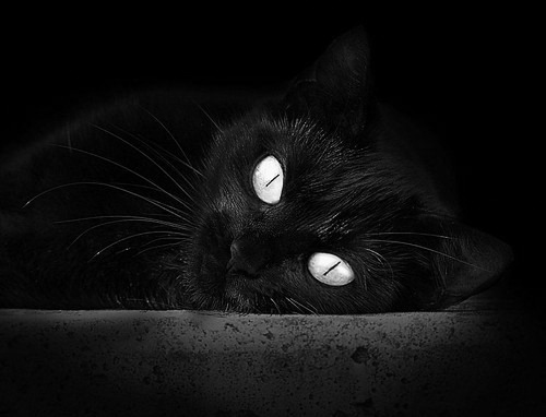 世俱杯足球赛事在线直播-篮球运动员技术动作的动作学分析,篮球运动员基本技术