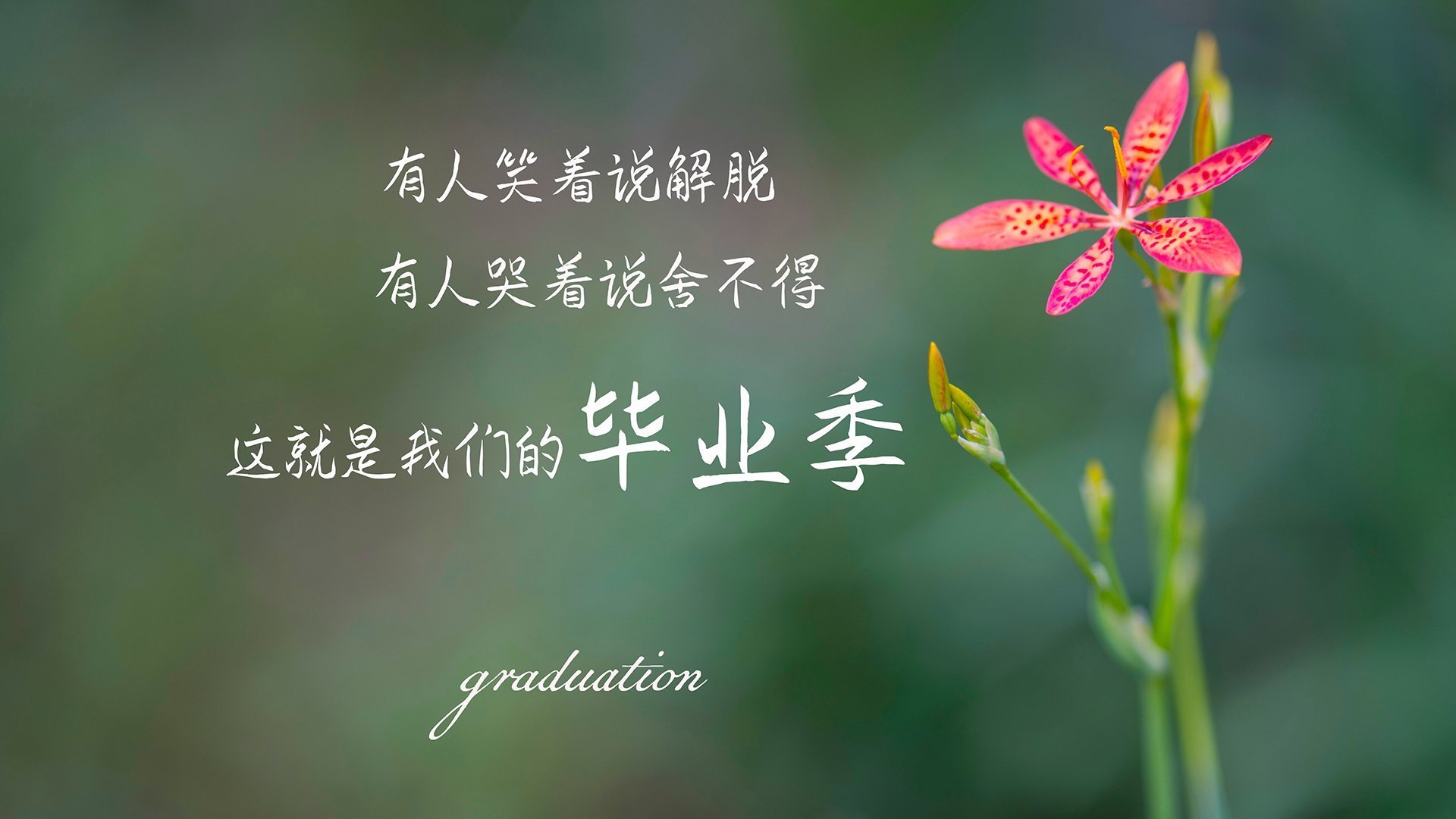 俱乐部冠军杯官网-英超球员疲劳监测指标对比赛表现预测的实证研究,英超球员受伤有工资吗