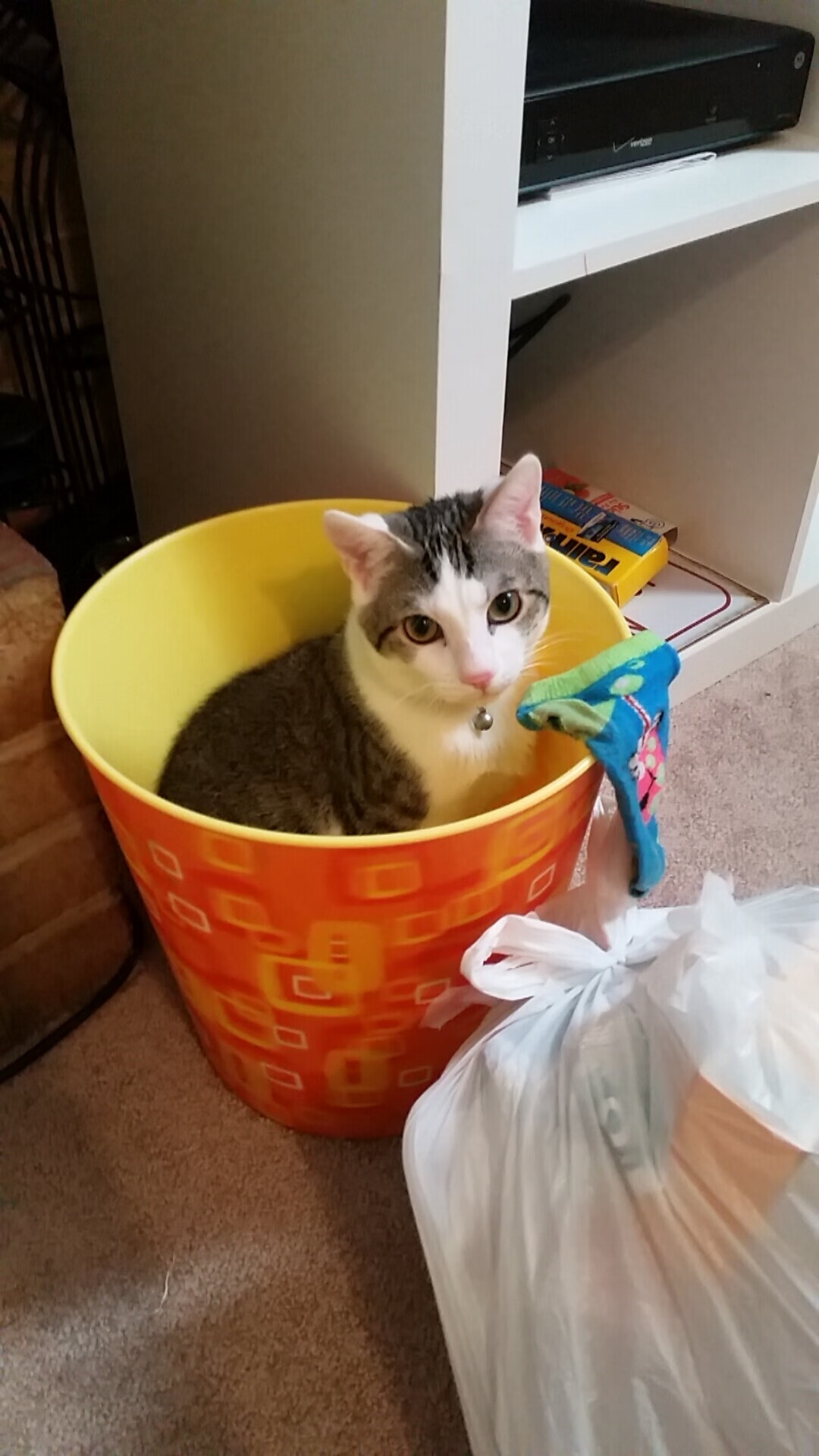 世俱杯2025赛程-西甲技术派打法重新成为媒体关注焦点,西甲踢法