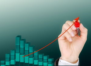 世俱杯官网-运动项目职业路径设计与发展研究，运动职业化