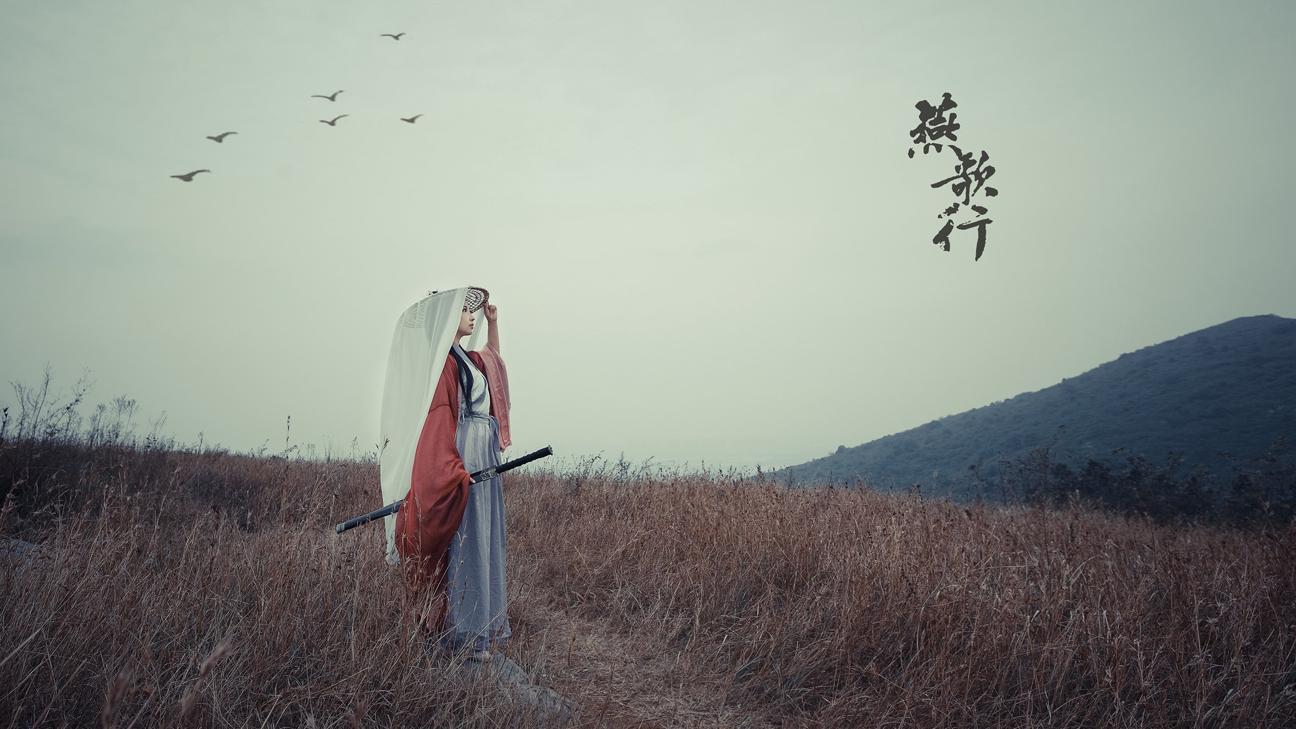 世俱杯网址-高校体育专业课程体系优化路径,高校体育教学改革现状,发展走向及改革对策