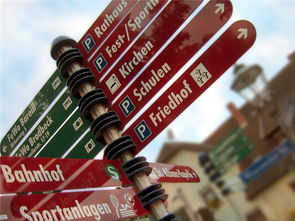 世俱杯2025全程直播-高校运动队选拔机制公平性研究，高校运动队选拔机制公平性研究报告