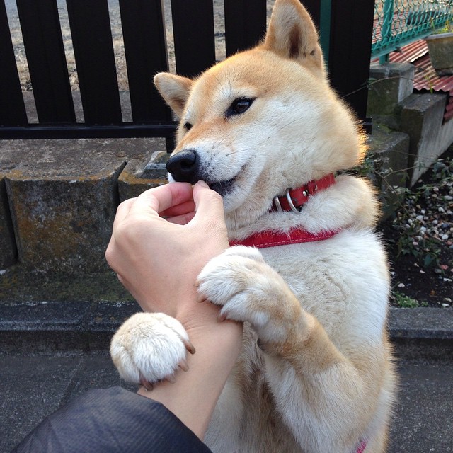 世俱杯对阵表-中国三人篮球男队提升持球突破终结率,中国三人篮球男队战绩