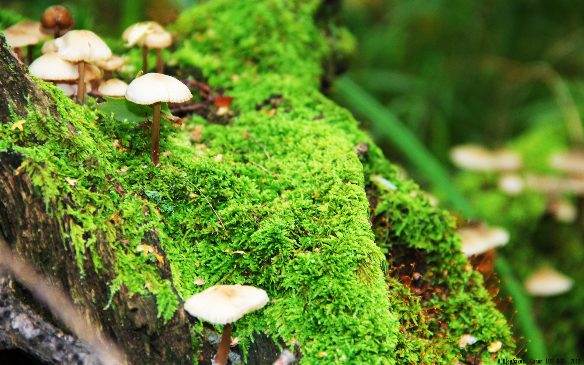 世界俱乐部杯在线观看-中国帆船青训计划新增女子青年组别,全国青少年帆船联赛